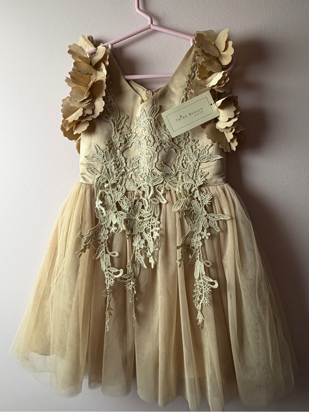 Girls' Champagne Tulle Floral Appliqué Dress